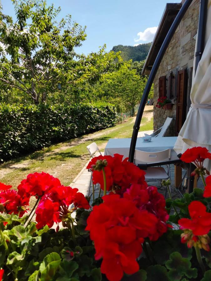 La Sala Vecchia - Lovely Tuscan Holiday House Badia Prataglia, Casentino Valley Chiusi della Verna Eksteriør billede