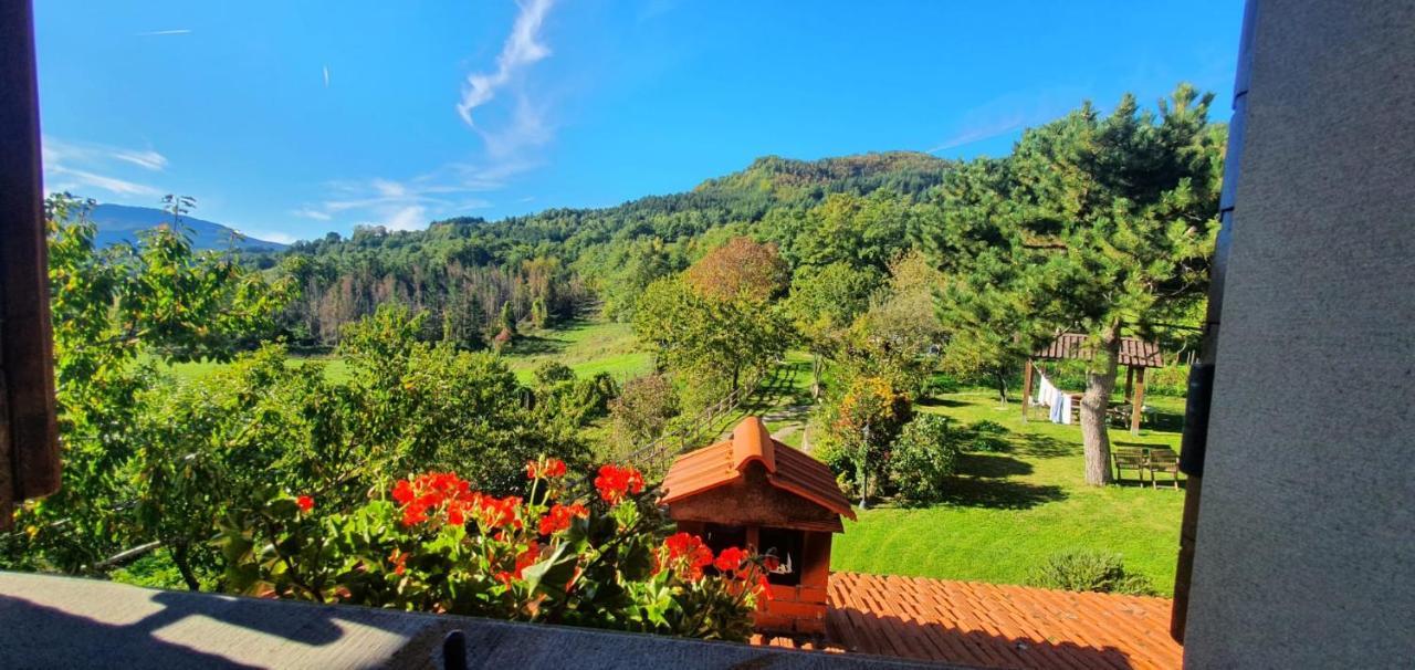 La Sala Vecchia - Lovely Tuscan Holiday House Badia Prataglia, Casentino Valley Chiusi della Verna Eksteriør billede